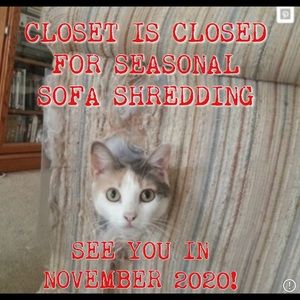 Professional Sofa Shredder